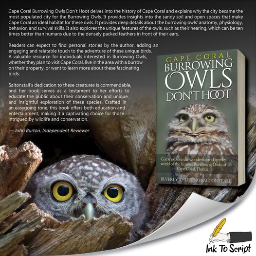 Professional review of Cape Coral Burrowing Owls Don't Hoot