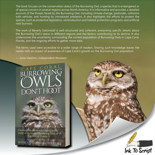 Professional review of Cape Coral Burrowing Owls Don't Hoot